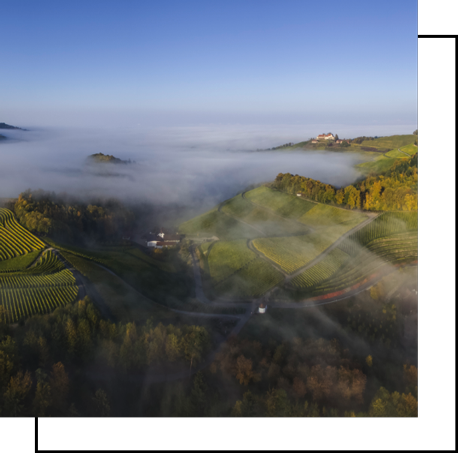 Natur und grüne Landschaft | Nachhaltigkeit | RUCH NOVAPLAST GmbH in Oberkirch