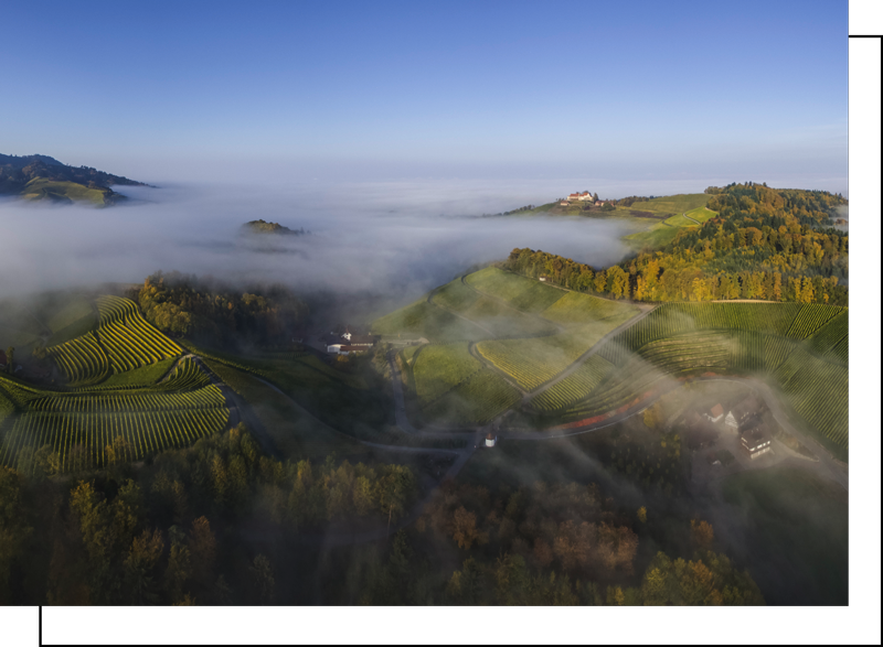 Natur und grüne Landschaft | RUCH NOVAPLAST GmbH in Oberkirch